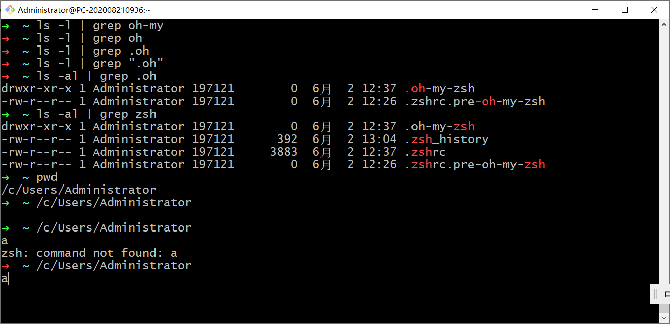 Windows安装zsh终端