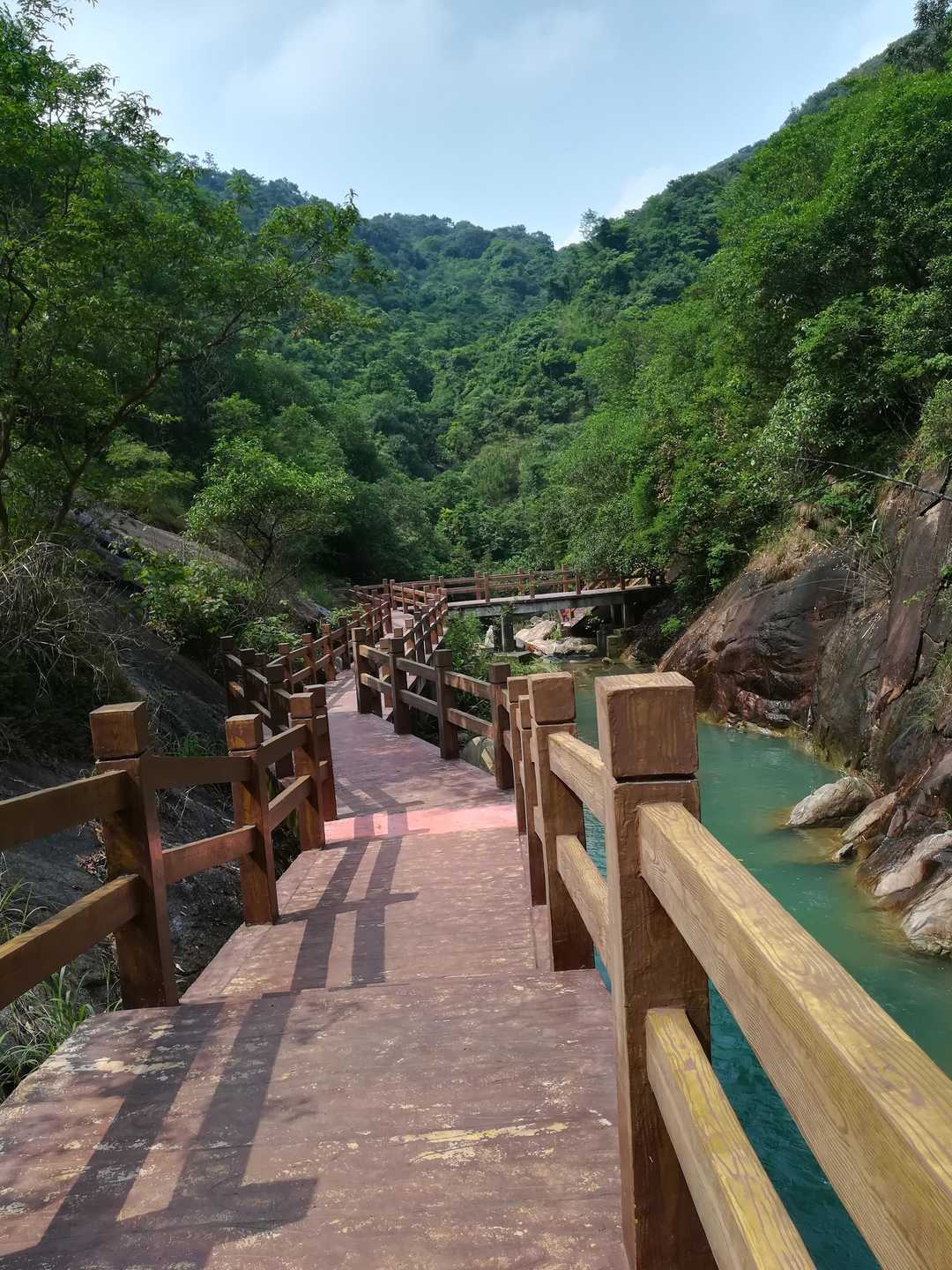 “520”咱俩“吃糖”就好，不发狗粮