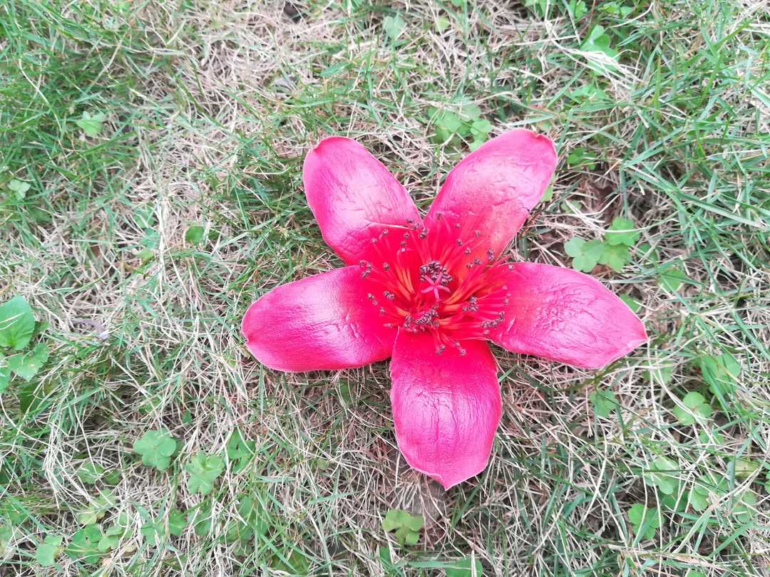 2019-03-22，做好每一步，避免出现“问题补救方案”