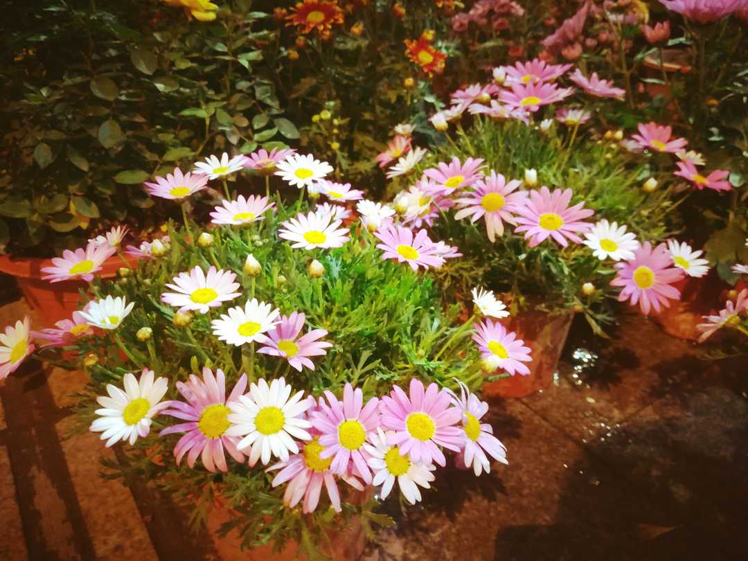 2019-03-25，对整理物品的感悟