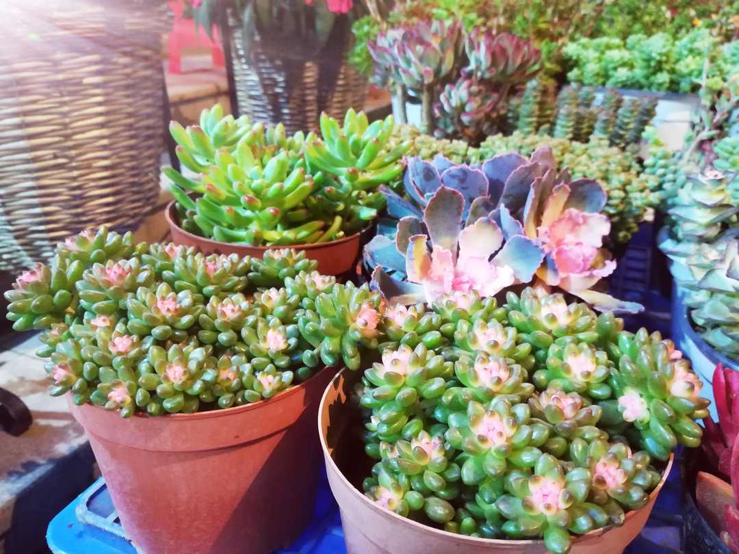 2019-03-26，身体会告诉你，你该休息了。