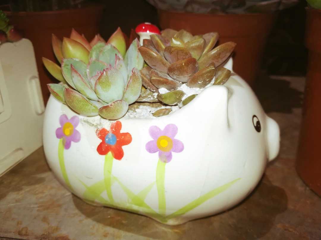 2019-03-28，被别人模仿是因为你优秀