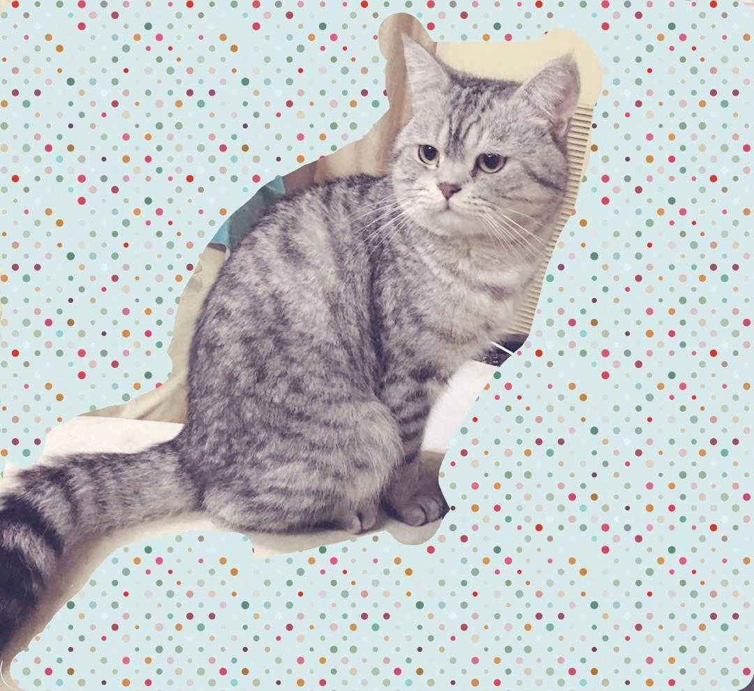 2019-03-29，积极思考，原来我也很优秀（有小个子穿衣搭配建议哦）