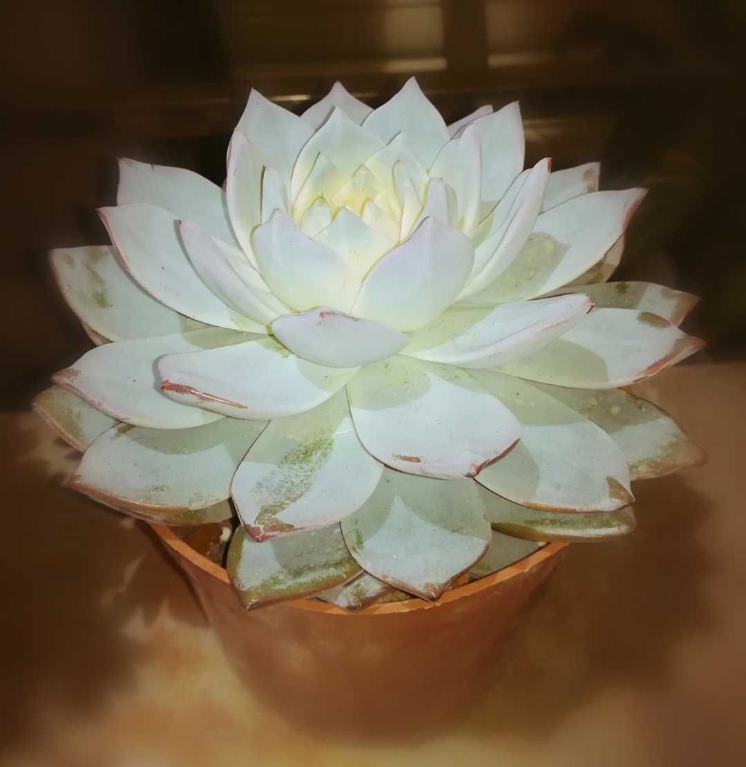 2019-03-30，不是我骗你，而是你对我少了点尊重