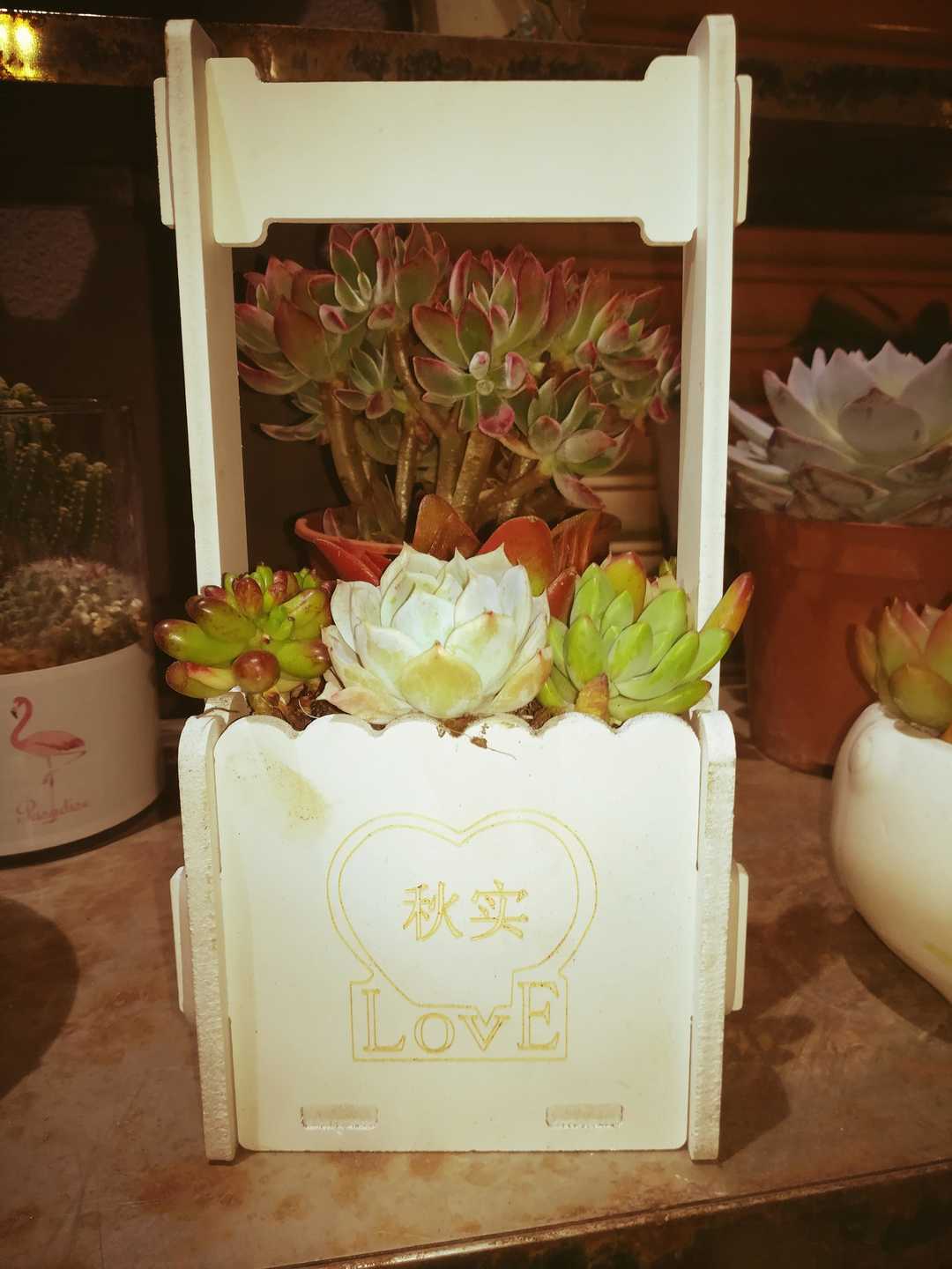 2019-04-02，你现在最应该做的是什么？