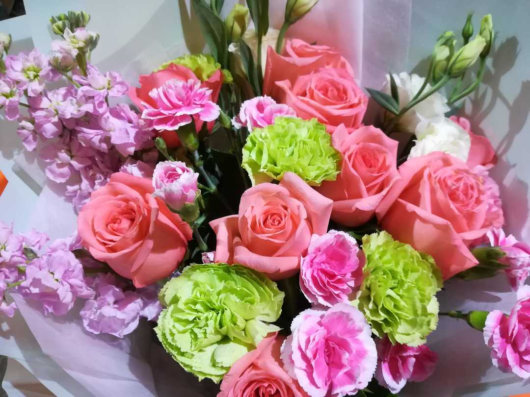 2019-04-12，来自微胖小姐姐的鼓励