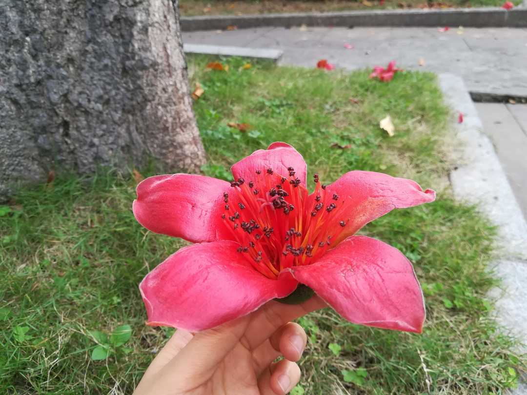 2019-04-15，高层一句话，下属少跑腿