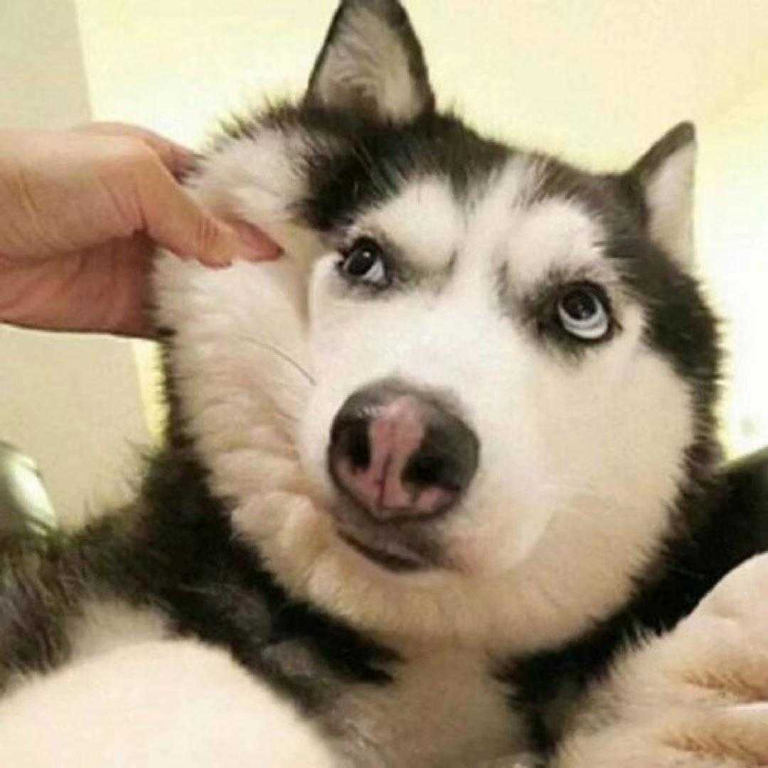 2019-05-06，在煎熬中起舞